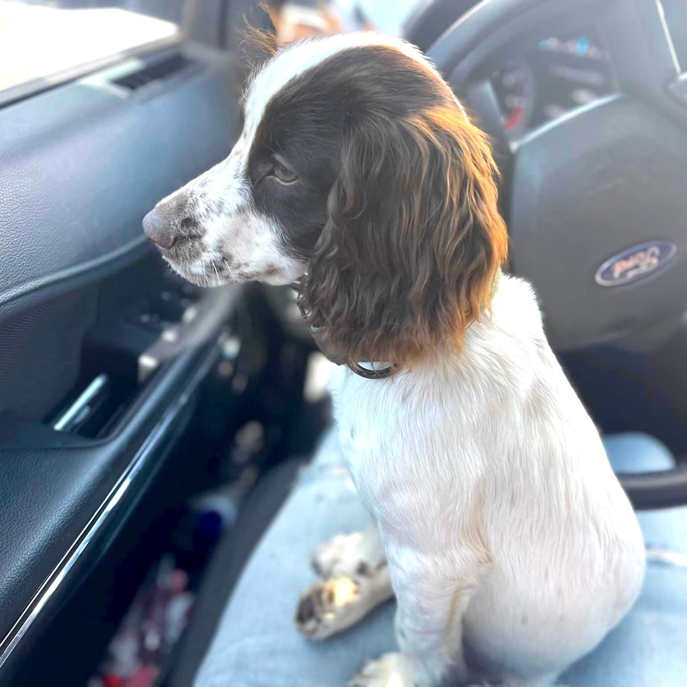 Meet your Posher, Roxy